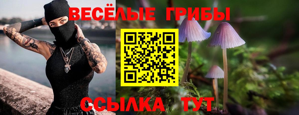 Зерноград  Галлюциногенные грибы мицелий  Галлюциногенные грибы ЛСД  Вход с VPN 